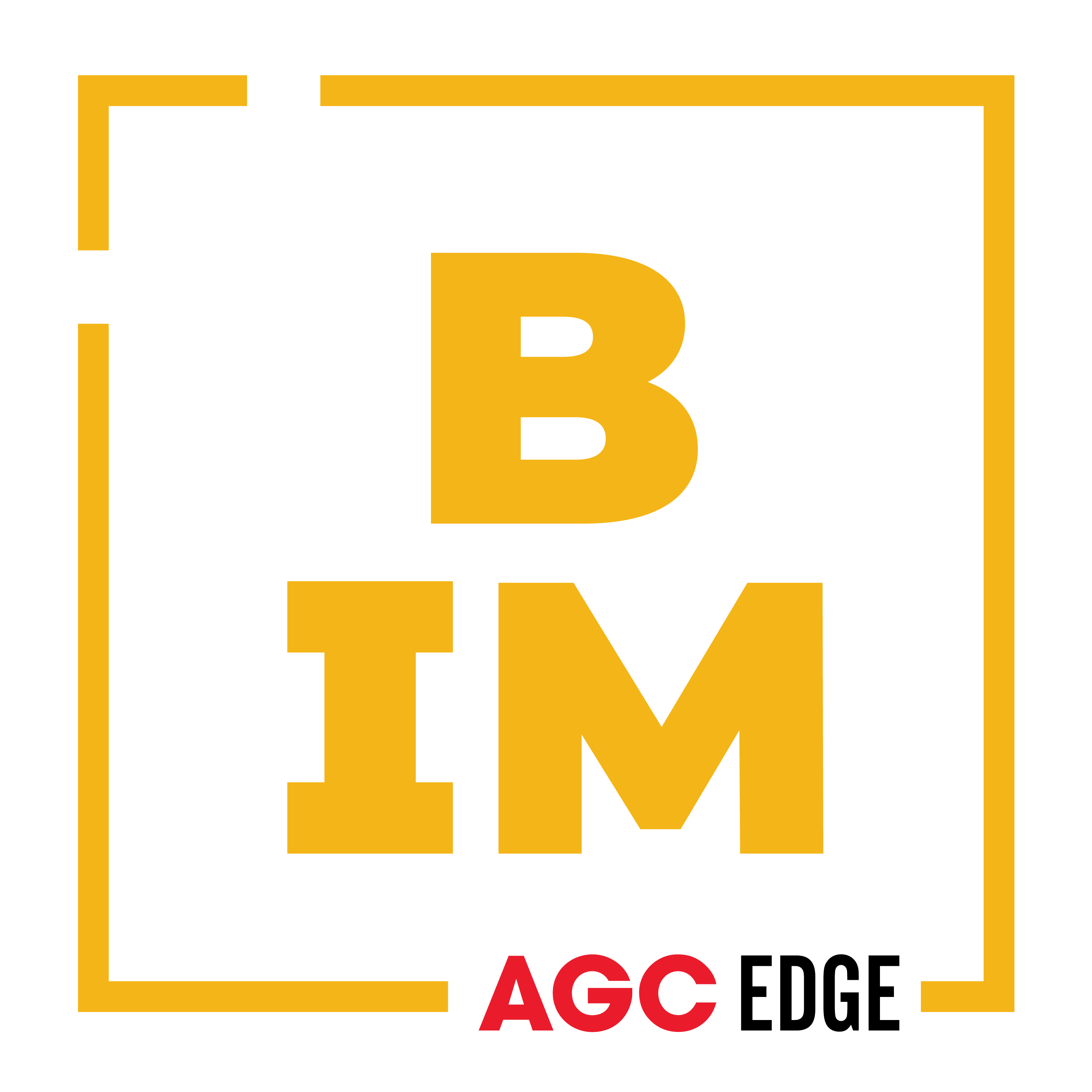 BIM
